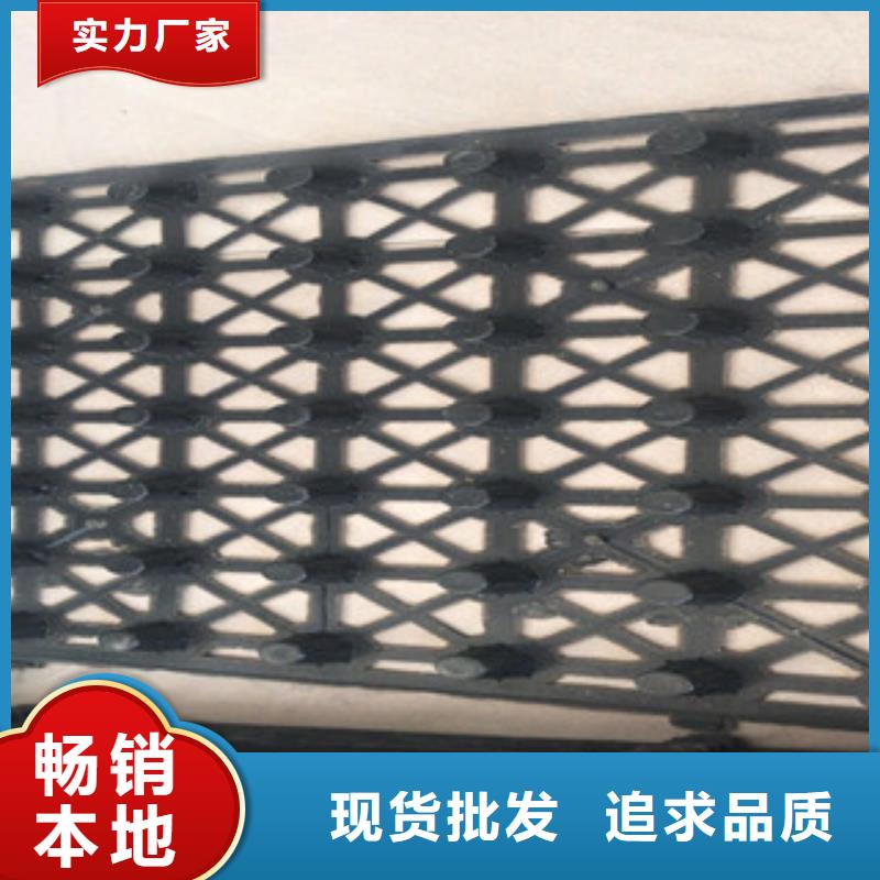 蓄排水板植草格廠家豐富的行業(yè)經(jīng)驗(yàn)