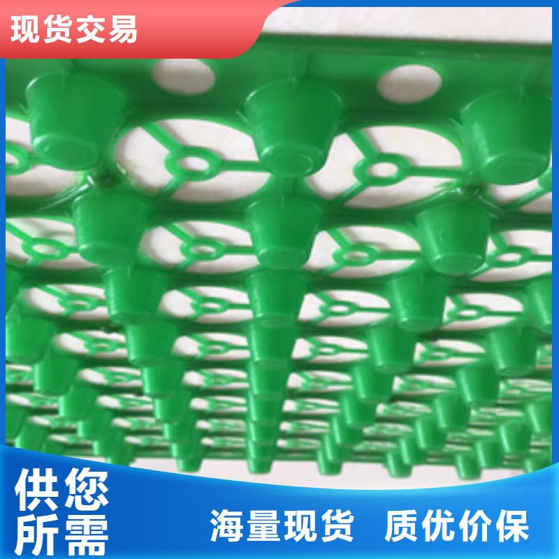 蓄排水板_膨潤土防水毯廠家支持拿樣
