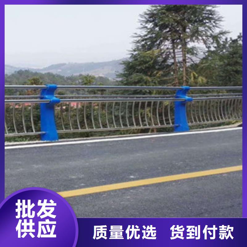 当地<飞龙>人行道304栏杆生产厂家生产厂家隧道防撞护栏