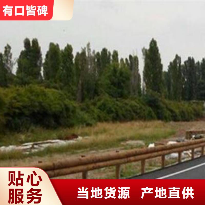鋼背木護(hù)欄_橋梁景觀護(hù)欄就近發(fā)貨