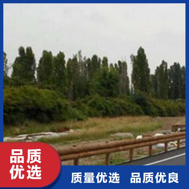 鋼背木護欄【橋梁護欄】專業(yè)供貨品質管控