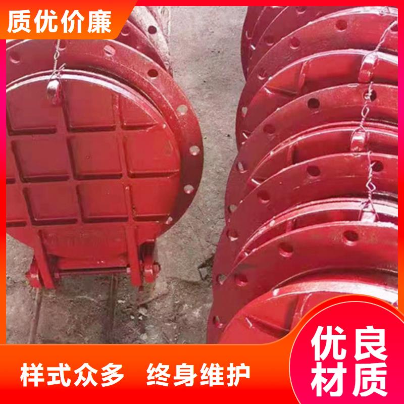 鋼壩閘門-黑龍江省大慶市龍鳳|林甸|黑河|佳木斯|綏化|鶴崗|大興安嶺(附近)生產(chǎn)商